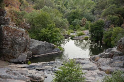 Sonora House | Buckeye Basecamp-40 Private, Pet Friendly Acres!