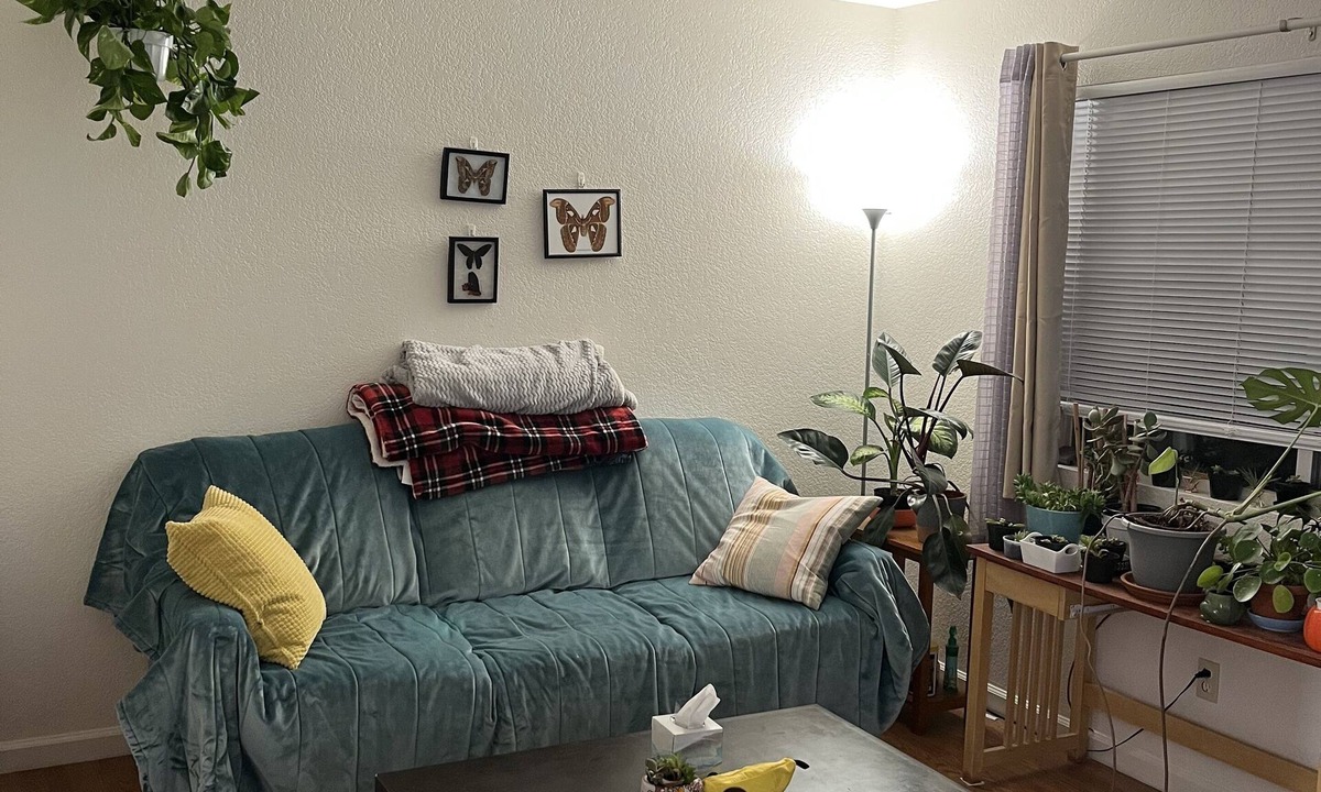 Reno Apartment | Charming, cozy apartment in Midtown Reno!