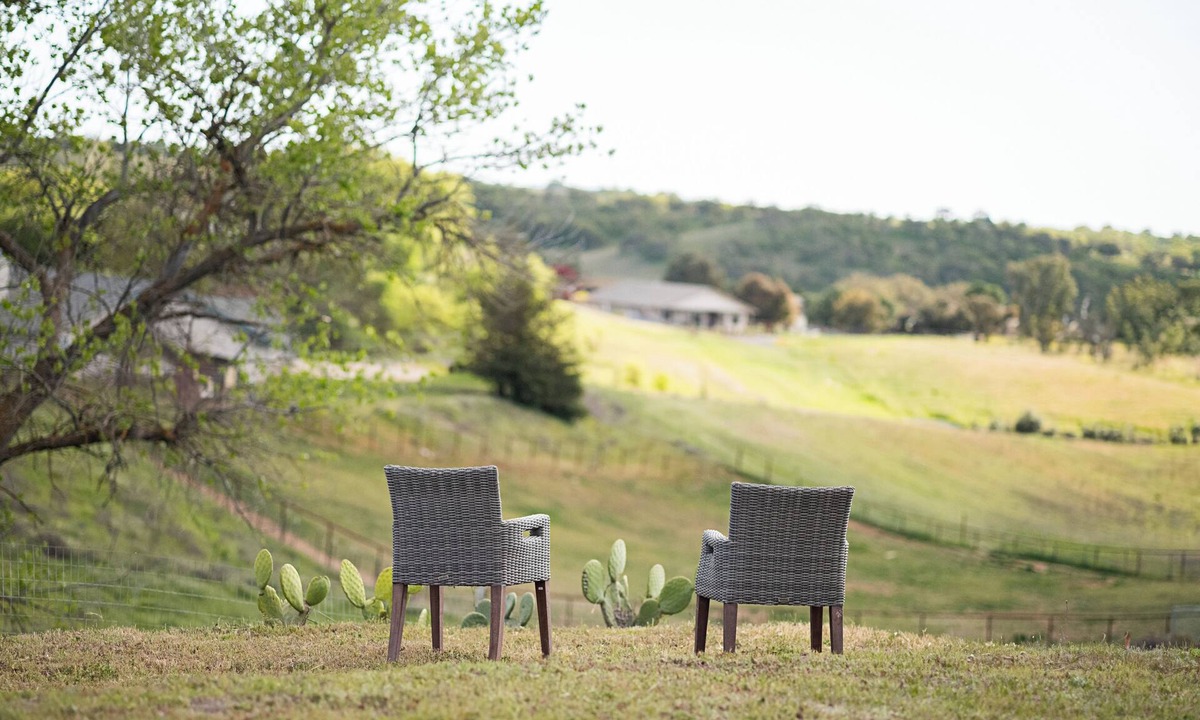 Paso Robles House | Country Living on 1 acre in Paso Robles w/AC, BBQ, starry nights, Dogs welcome