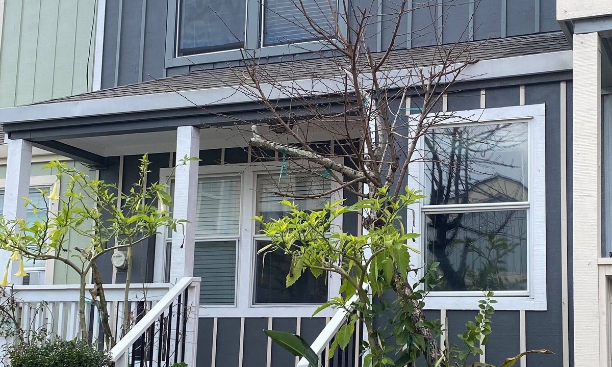 Geyserville Condo | Geyserville Getaway Retreat 30 day minimum