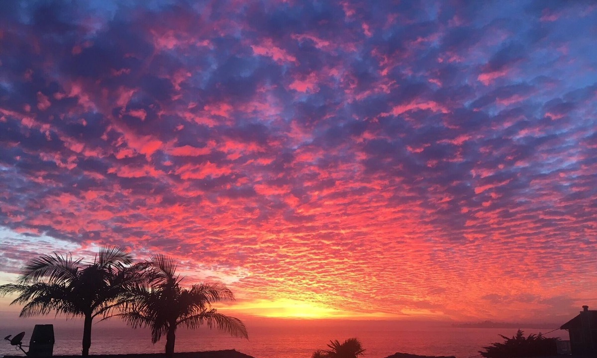 Opal Cliffs House | Just One House to the Beach,Spa,Views,Kid&Pet OK,4 Kings or 1 King+8Twins+3Sleep