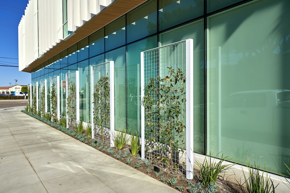 Blanco - Culver Crest Hotel | Mayumi