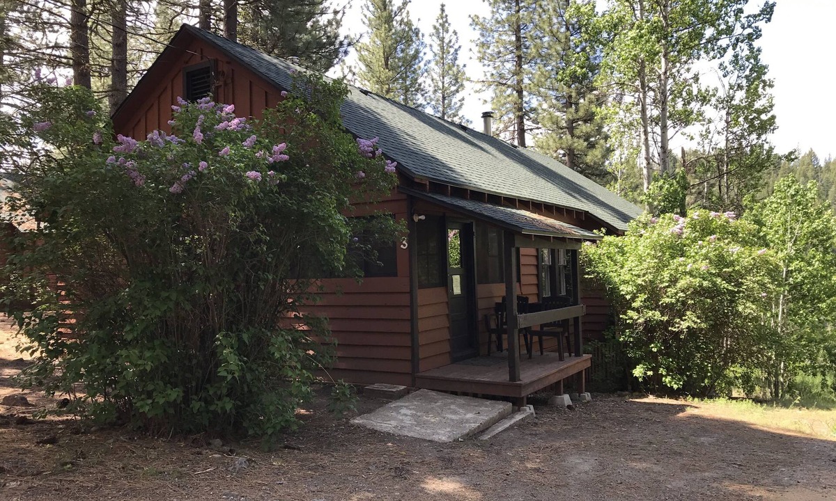 Blairsden-Graeagle Cabin | Nature Sabbatical ~ Cabin with Amazing River Views on 40 Acres