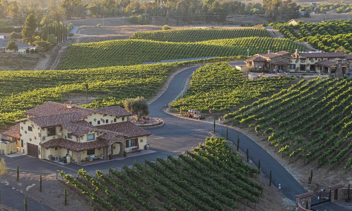 Temecula House | New-Build Temecula Villa with King Suite, Patio & Vineyard Views | The Villa