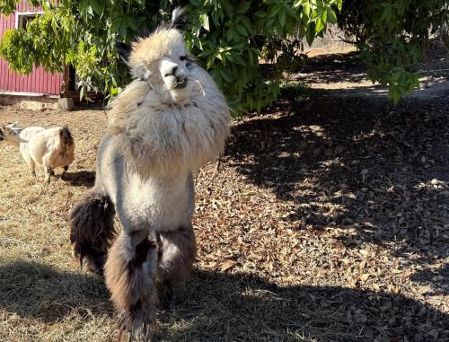 Rainbow CDP House | Pet Friendly Breathtaking Cottage with Hot-tub in Rainbow, California