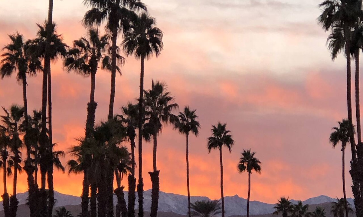 Palm Desert Condo | Relax and Enjoy! Rent Weekly or by the Month