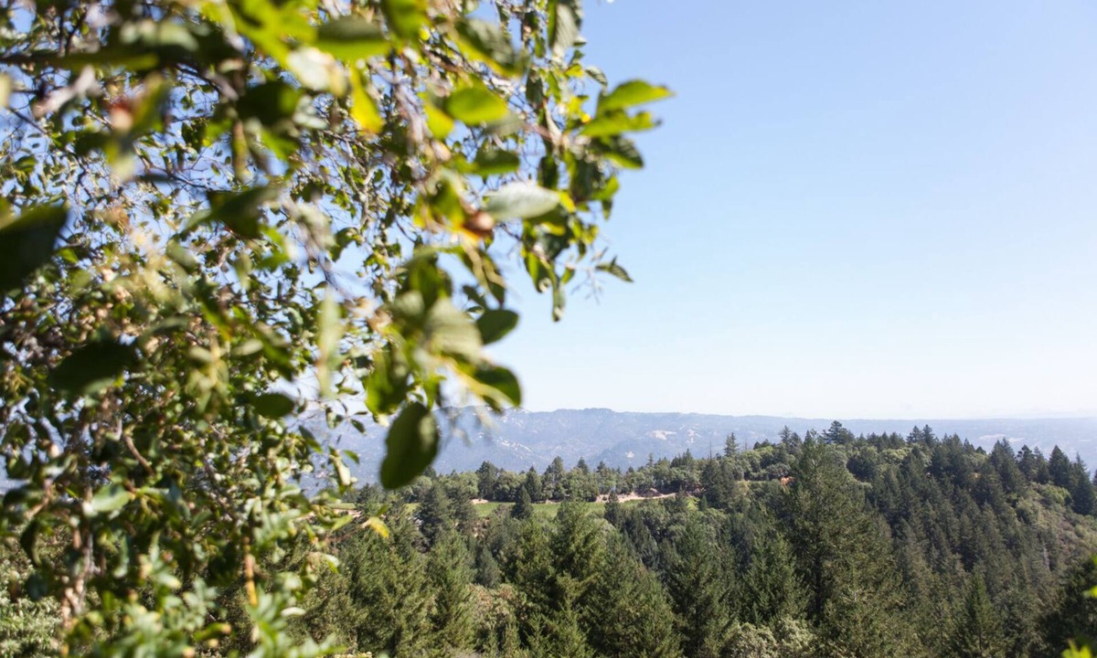 St. Helena House | Sanctuary on top of the world