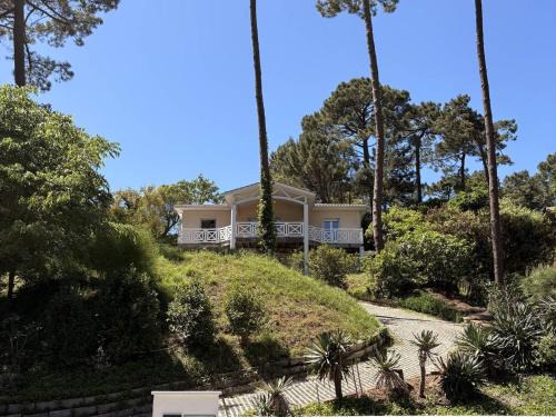 Le Canon Villa | Spacieuse villa familiale avec terrasses à 500m du Bassin - FR-1-736-21