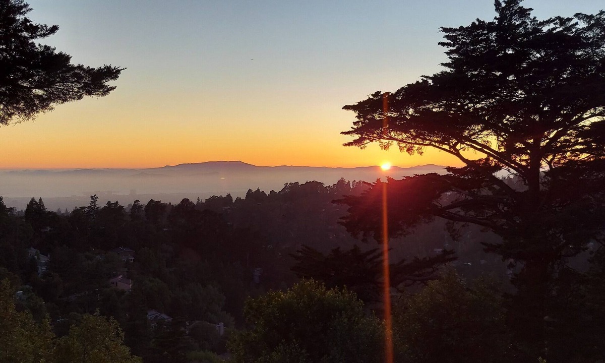 Piedmont Pines House | Spectacular Bay Views, Steps from Redwood Park!