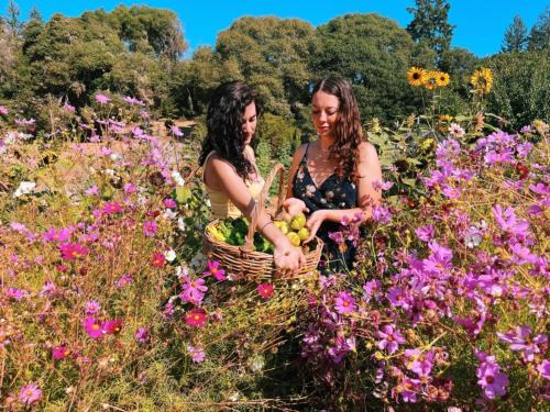 Anderson Valley Cabin | The Land - Retreat Center In Beautiful Nature - Bay Area Northern California