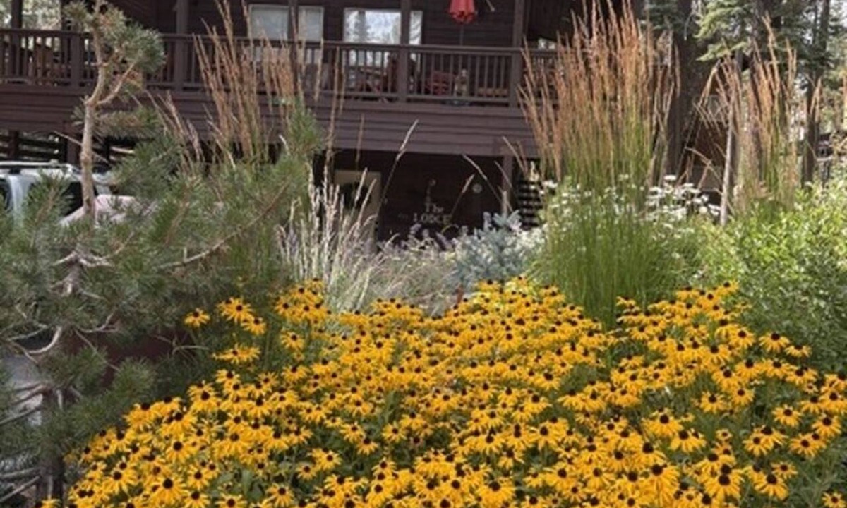 Serene Lakes Cabin | The Lodge: Comfort&Hospitality AC/4bdrm/10 beds/beach