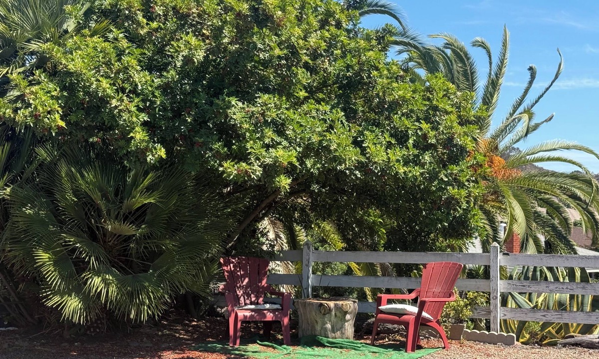 Rancho Bernardo House | Whole House Free Parking Great Price and Location
