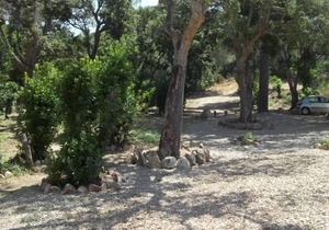 PALOMBAGGIA Air-conditioned studio in the heart of the maquis 700 meters from the beach