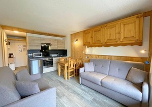 Resort center, 8th floor, view ski slopes, balcony, tv, 24m², Les Menuires