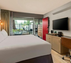Hotel Paradox Autograph 