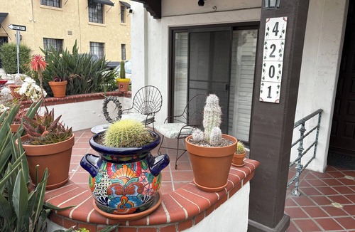 Belmont Heights House | 3 story 1,800 Sq Ft Townhome-Dog Beach and Pool DIRECTLY across the street.