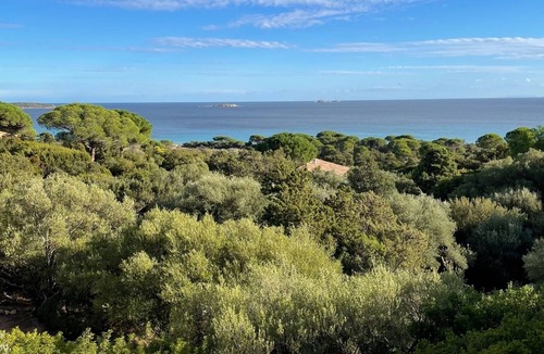 Hameau de Palombaggia House | 5 bedroom house in Palombaggia (Porto Vecchio) with view and direct access to the sea
