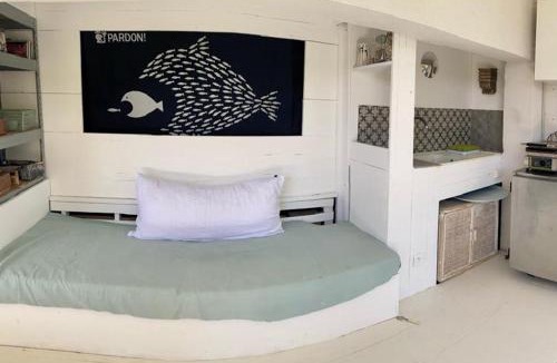 Alata Apartment | Bas de Villa indépendant San Benedetto