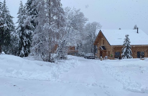 Selonnet Ski Chalet | Beautiful modern chalet, exceptional mountain and pine views