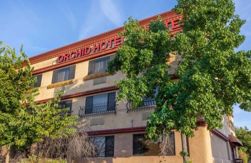 Roseville Hotel | Best Western Plus Orchid Hotel & Suites