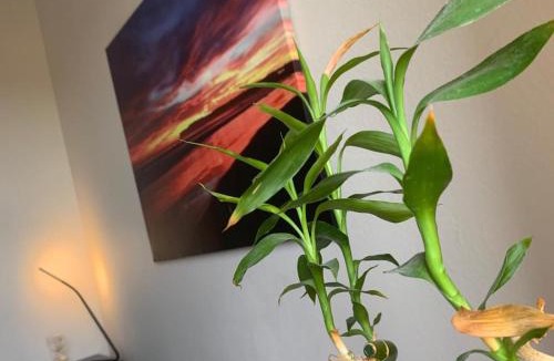East Village Apartment | Boho Sunsets Convention Center