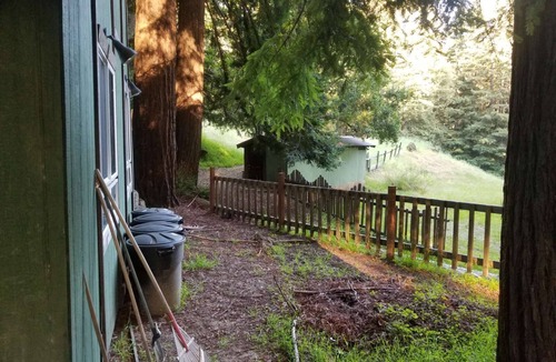 Los Gatos RV Rental | Campsite #7 Enchanted Forest Redwood Mountain Retreat