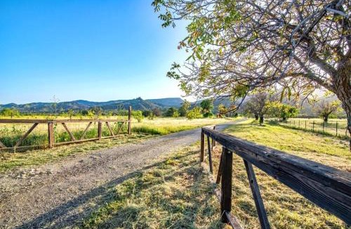 College City House | Capay Valleys Finest Nature Get Away