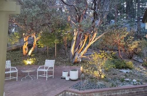 Pine Cove Ski Chalet | CASA de los ARBOLES! Delight & Solitude Abound!