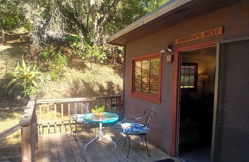 Holy City Cabin | Charming 1 Bdrm Cabin at Lupin Lodge Clothing-Optional Naturist Resort Los Gatos