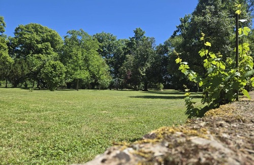Souvigny Cottage | Charming Cottage in Souvigny: History, Nature & Serenity