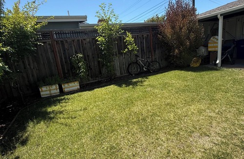 Estudillo Estates - Glen House | Cozy 1-bedroom in lovely San Leandro with private entrance