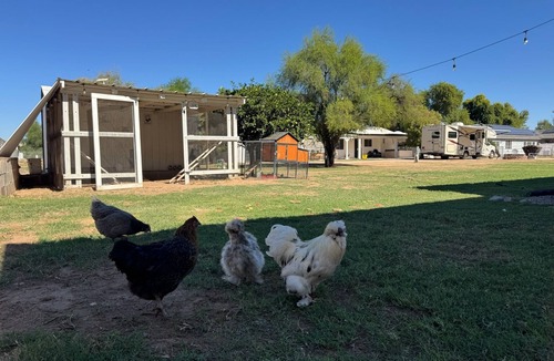 Gilbert House | Cozy RV stay on a South Gilbert Mini Farm