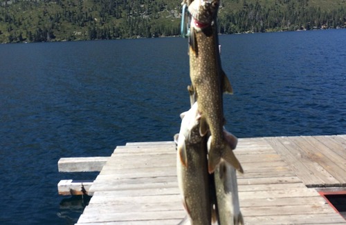 South Lake Tahoe Cabin | Fallen Leaf Lake, the Best of Lake Tahoe, with dock access.