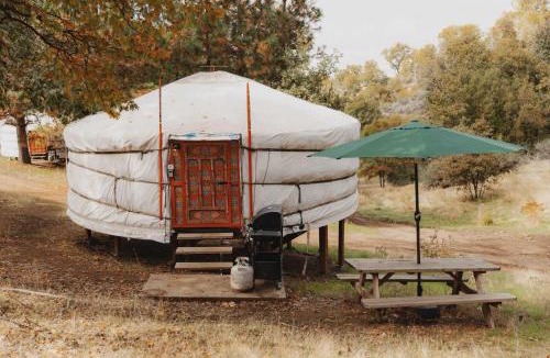 Dunlap House | Glamping yurt at nature retreat in Sequoia NForest