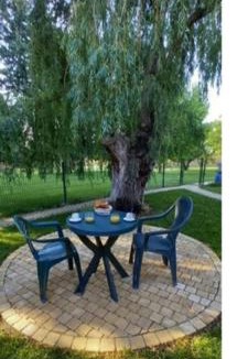 Caumont-sur-Durance Apartment | Grand studio lumineux, entièrement rénové avec jardin