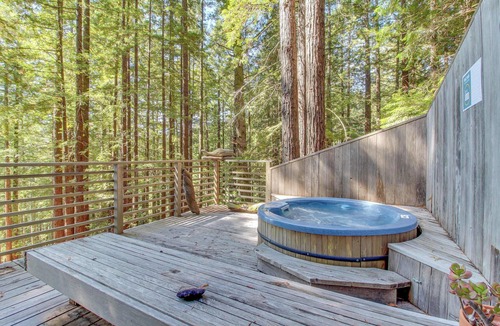 Anchor Bay Cabin | Gualala 1BR redwood cabin with hot tub near Sea Ranch Golf Links