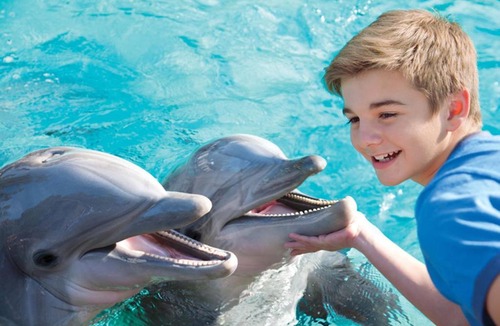 Midway-Pacific Highway Hotel | Holiday Inn Express San Diego - Sea World Area by IHG