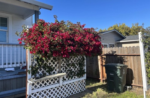 East Palo Alto House | Ideal 3BR Near Meta Google & Stanford: Quiet, Spacious Stay for Families/Interns