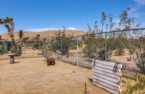 Yucca Valley House | JT Cottage