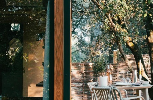 Noves Cabin | La Tiny sous les pins