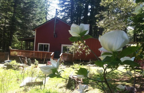 Gualala House | Large home on private 14 acre redwood meadow