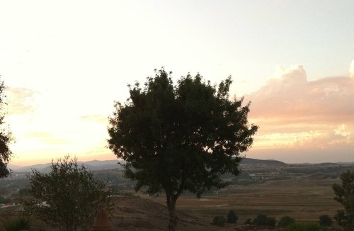 Temecula House | Location, location, location! Authentic wine country experience.