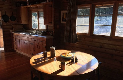Pine Mountain Club Cabin | Log cabin w/sauna, cinema, deck, tree house, trampoline AND easy walk to town.