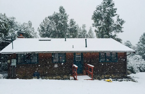 Pine Mountain Club Cabin | Log cabin w/sauna, cinema, deck, tree house, trampoline AND easy walk to town.