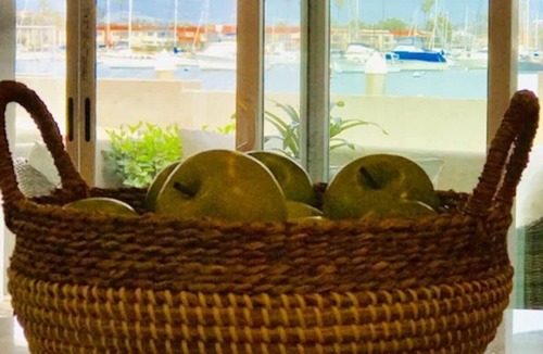 Balboa Peninsula House | LUX Beachfront Casa de Balboa 231 w/AC - Best View