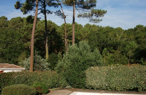 Biscarrosse Villa | Luxury Villa Sleeps 8 with Private Heated Pool Nr Lake/Beach