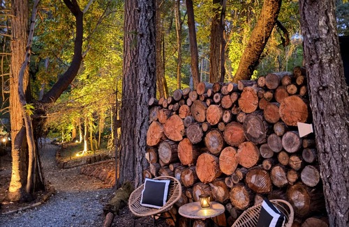 Burnt Ranch Cabin | Majestic View | King Room at Radio Ranch (Tub)