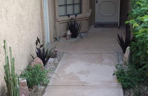 Palm Desert Condo | New Prime Dates Availability in 2026 & 2027!