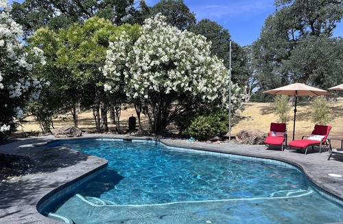 Chico House | One-of-a-Kind, peaceful, secluded & close to town