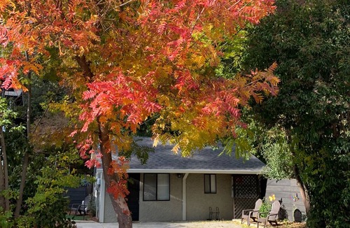 Chico House | Parkside Cottage on Bidwell Park